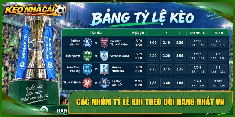 Các nhóm tỷ lệ khi theo dõi hạng nhất vn