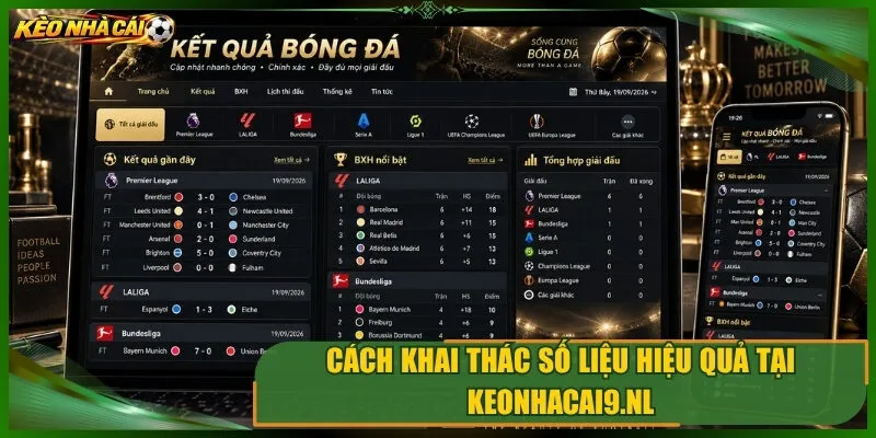 Cách khai thác số liệu hiệu quả tại mp3indirv.mobi